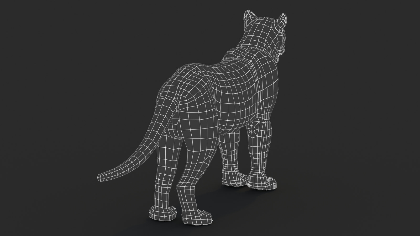 Black Panther 3D Model with Fur Wireframe 0
