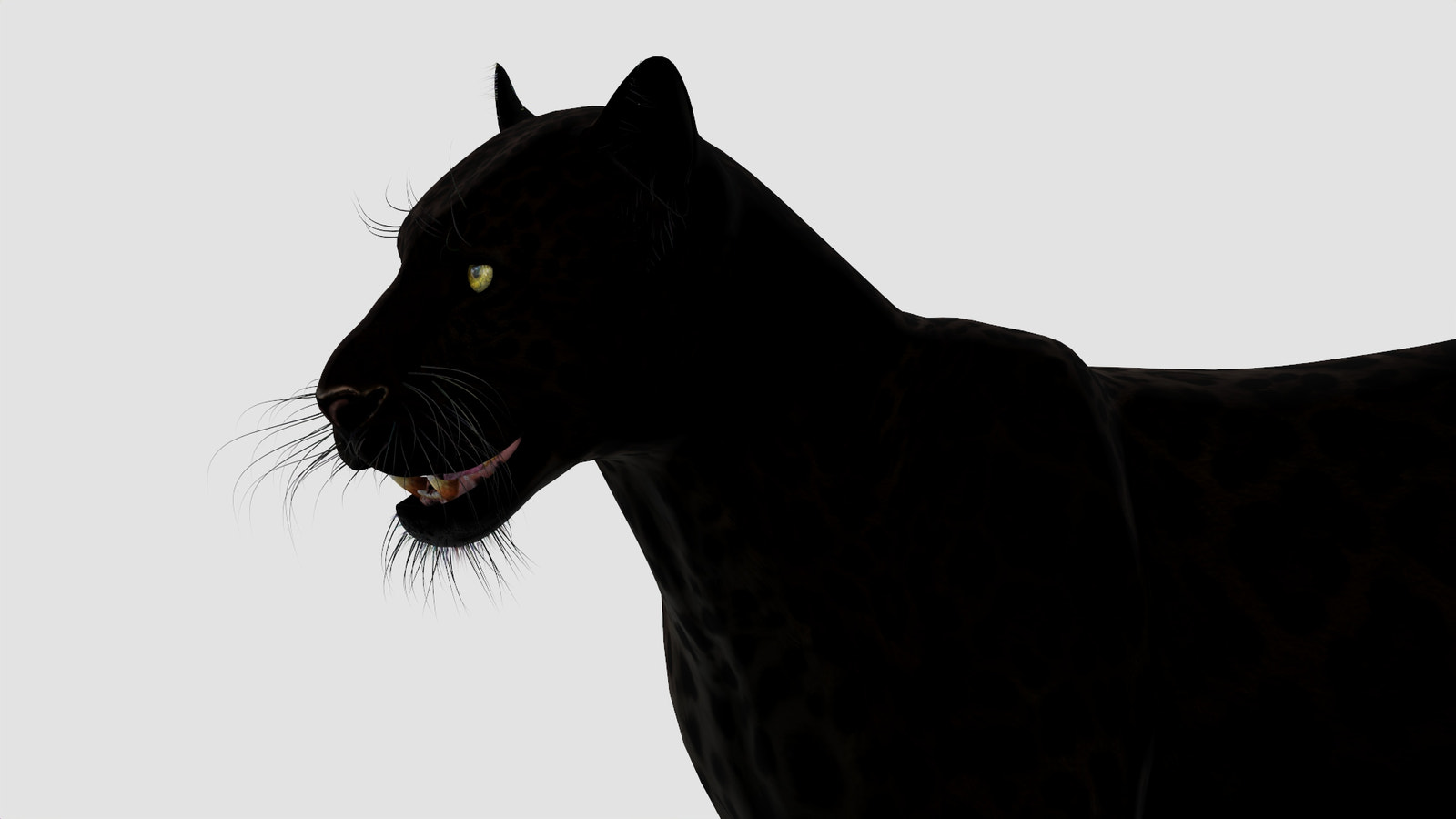 True-to-life Black Panther Animal 3D Model Close Up 