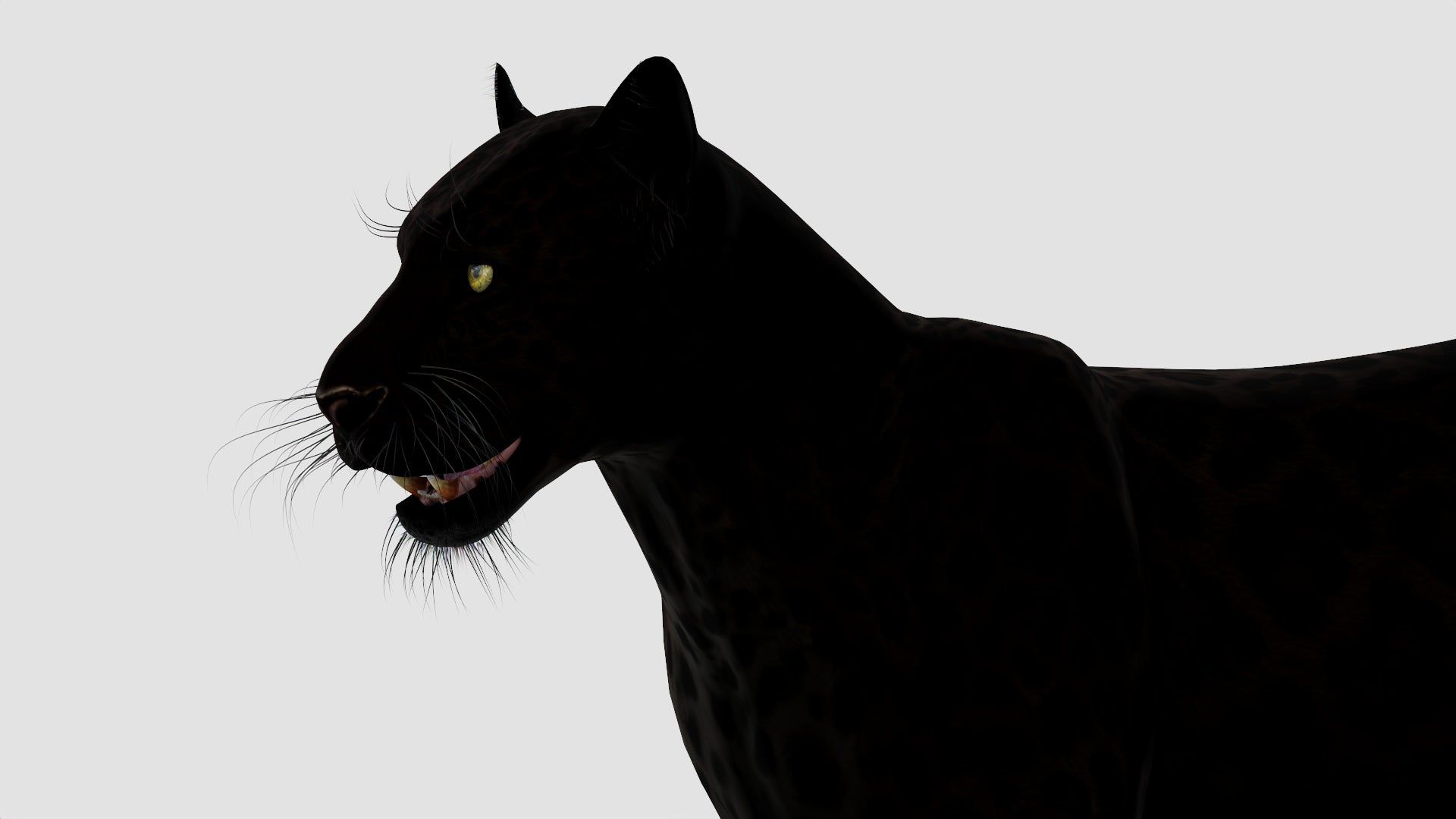 True-to-life Black Panther Animal 3D Model Close Up 