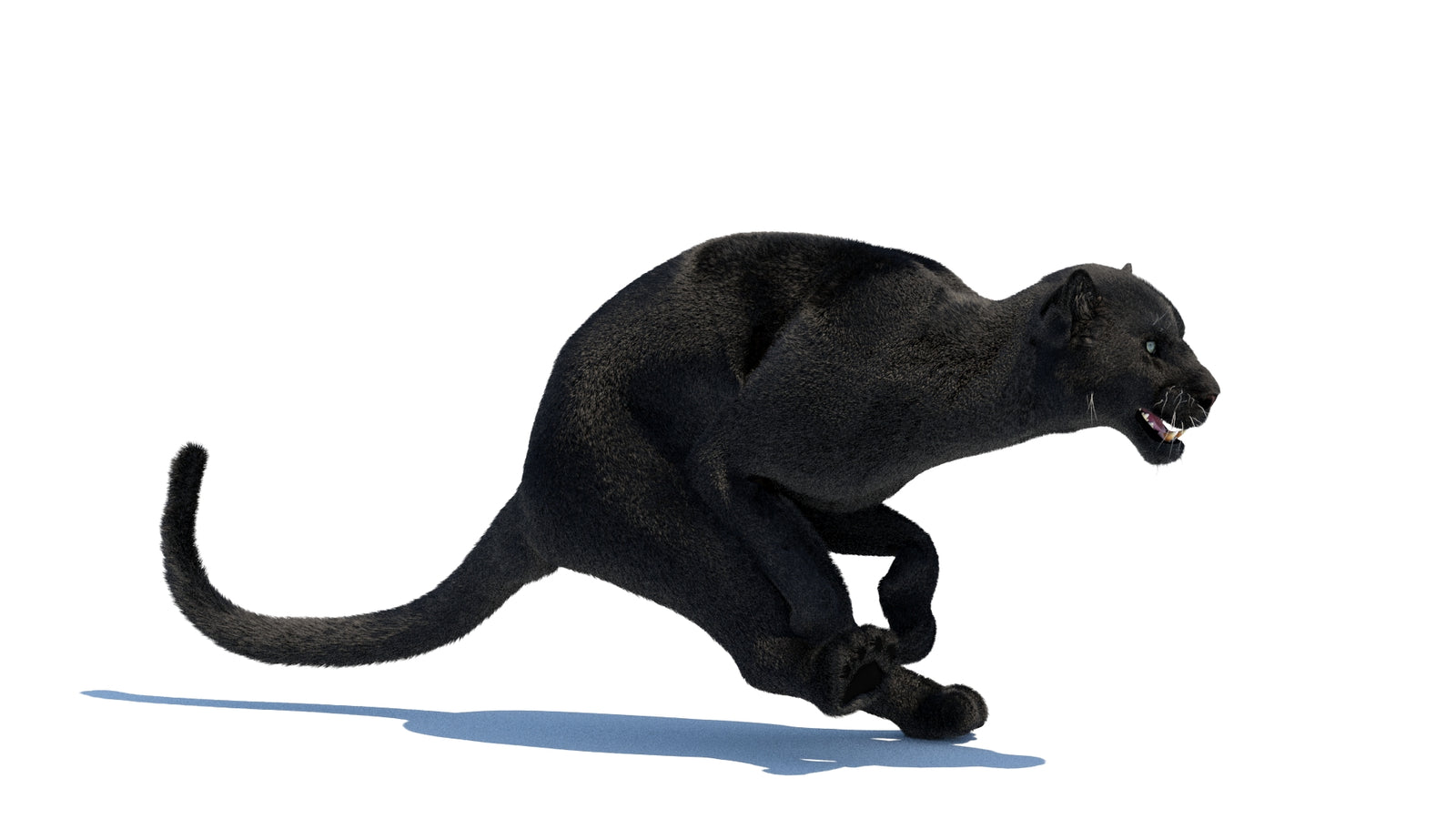 Animated Black Panther 3D Model Fur 360° view 3 frame 2