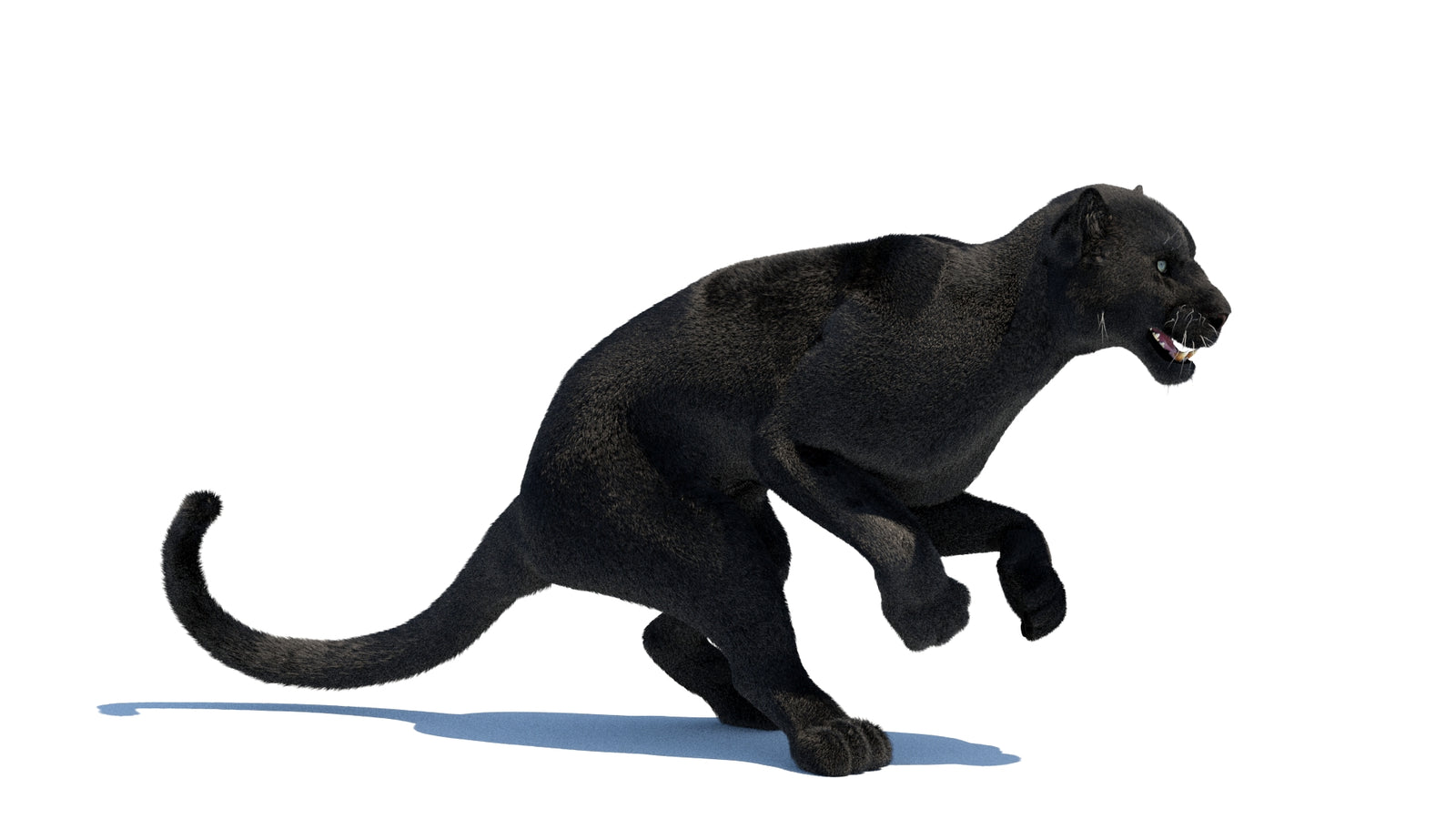 Animated Black Panther 3D Model Fur 360° view 3 frame 5