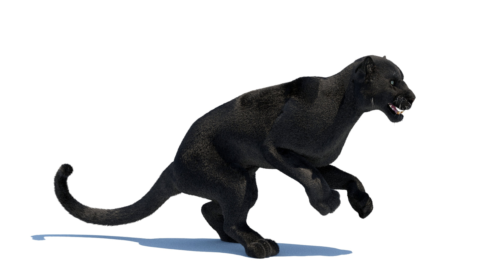 Animated Black Panther 3D Model Fur 360° view 3 frame 6