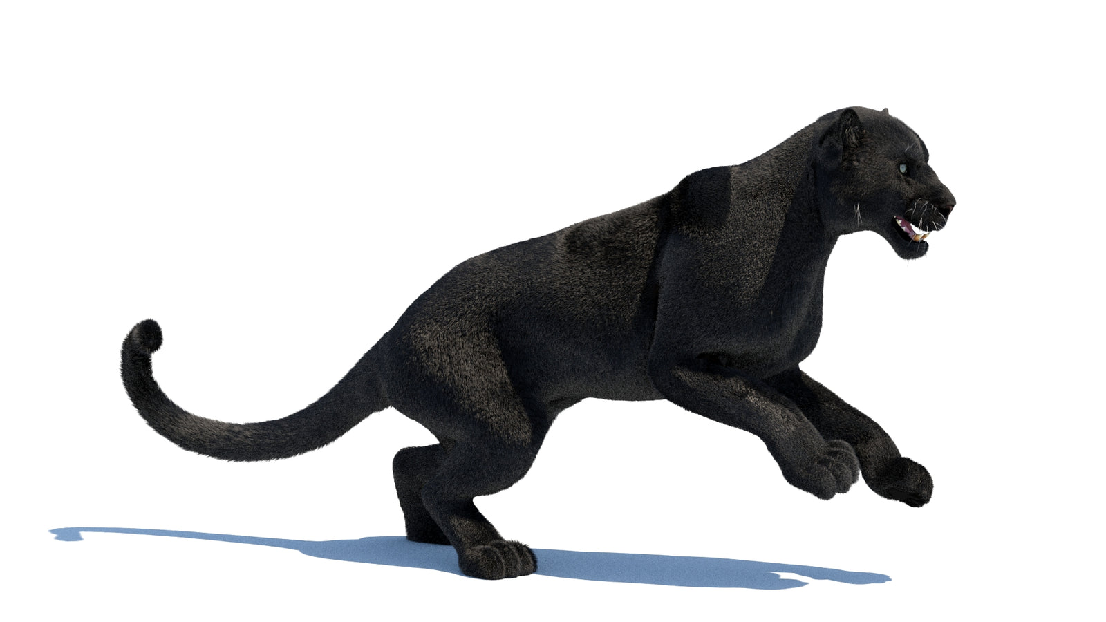 Animated Black Panther 3D Model Fur 360° view 3 frame 8