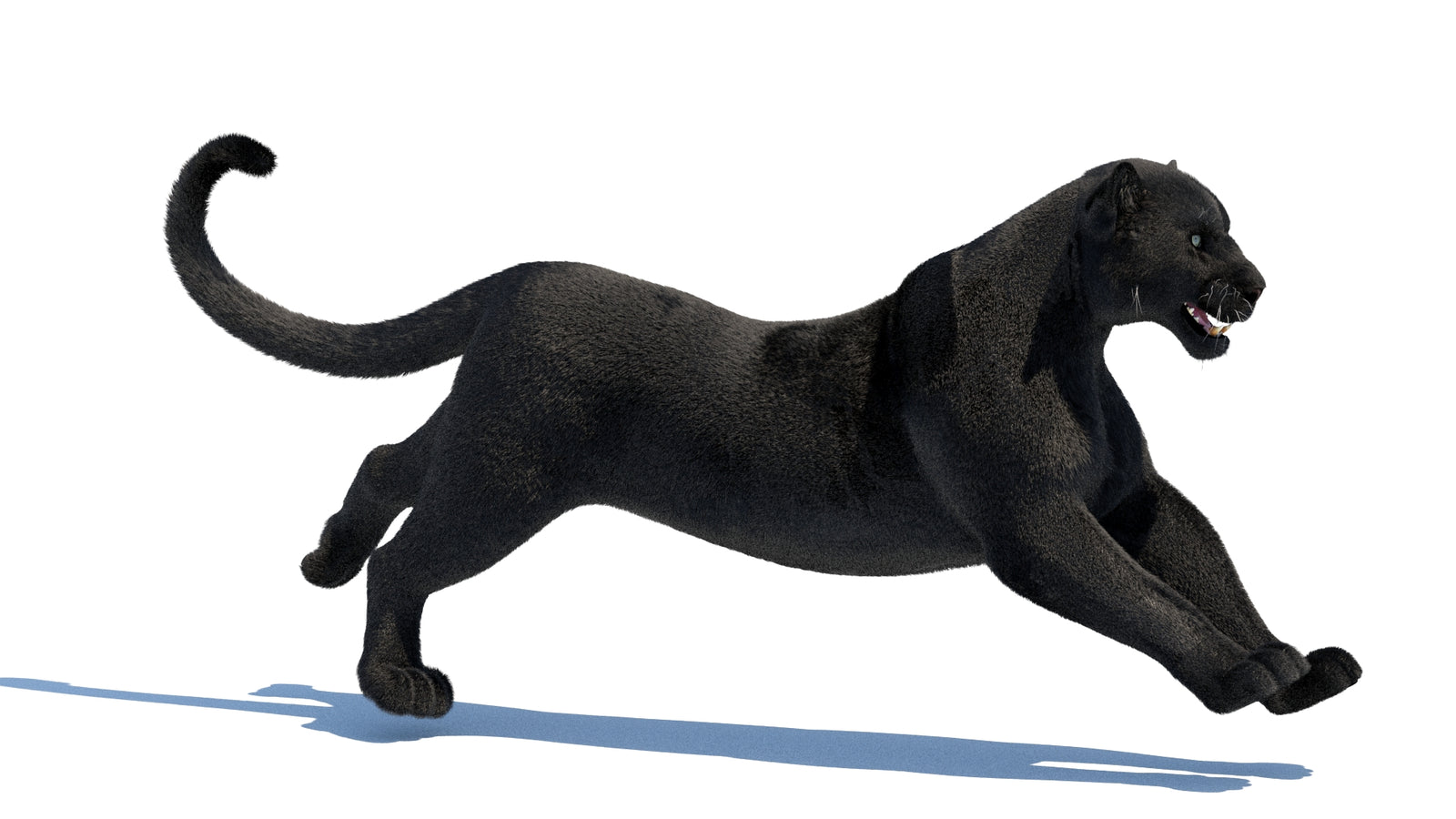 Animated Black Panther 3D Model Fur 360° view 3 frame 12