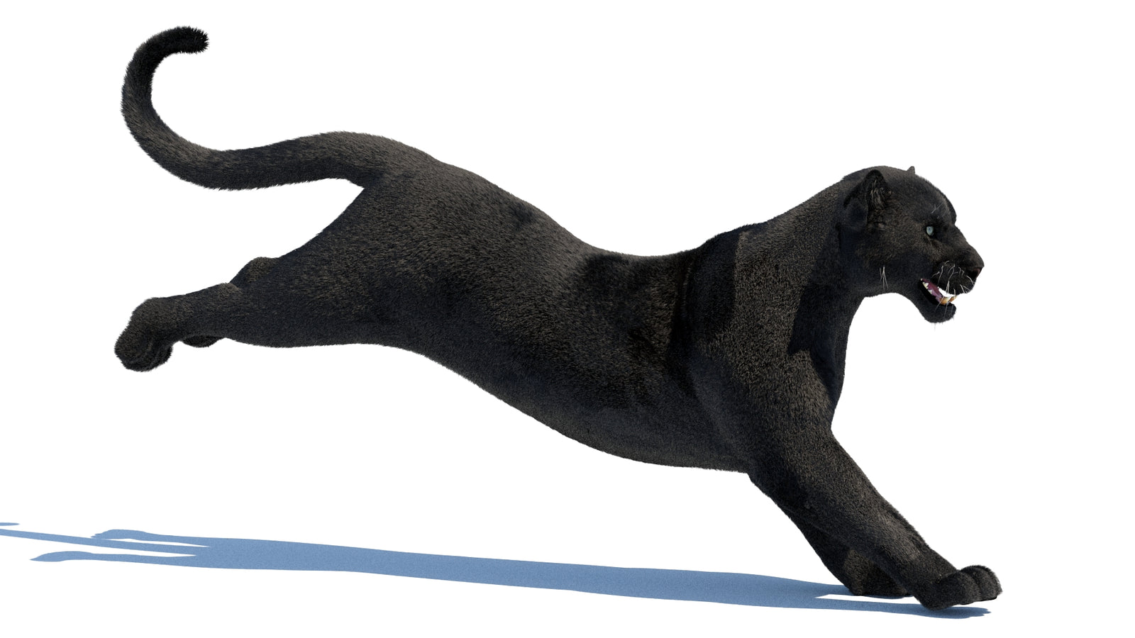 Animated Black Panther 3D Model Fur 360° view 3 frame 15