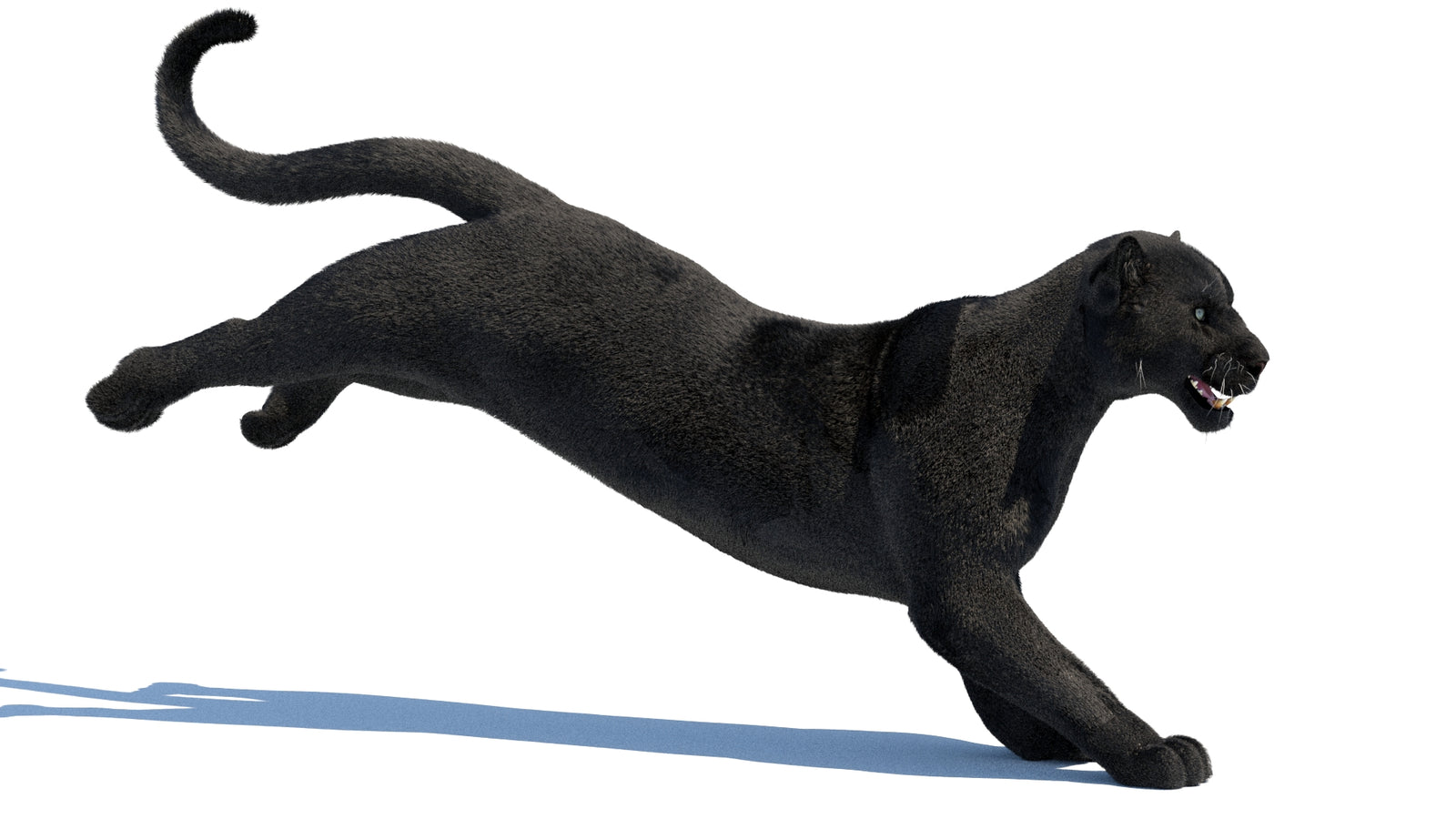 Animated Black Panther 3D Model Fur 360° view 3 frame 16