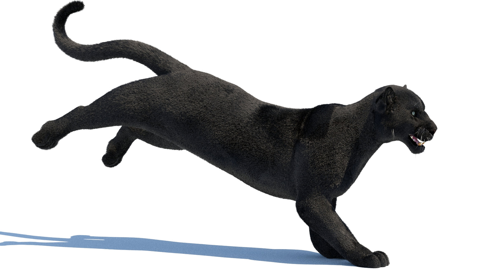 Animated Black Panther 3D Model Fur 360° view 3 frame 17