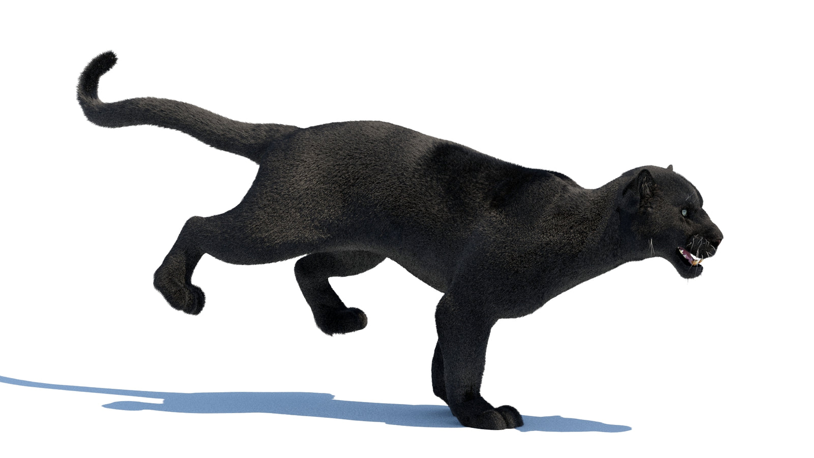 Animated Black Panther 3D Model Fur 360° view 3 frame 20