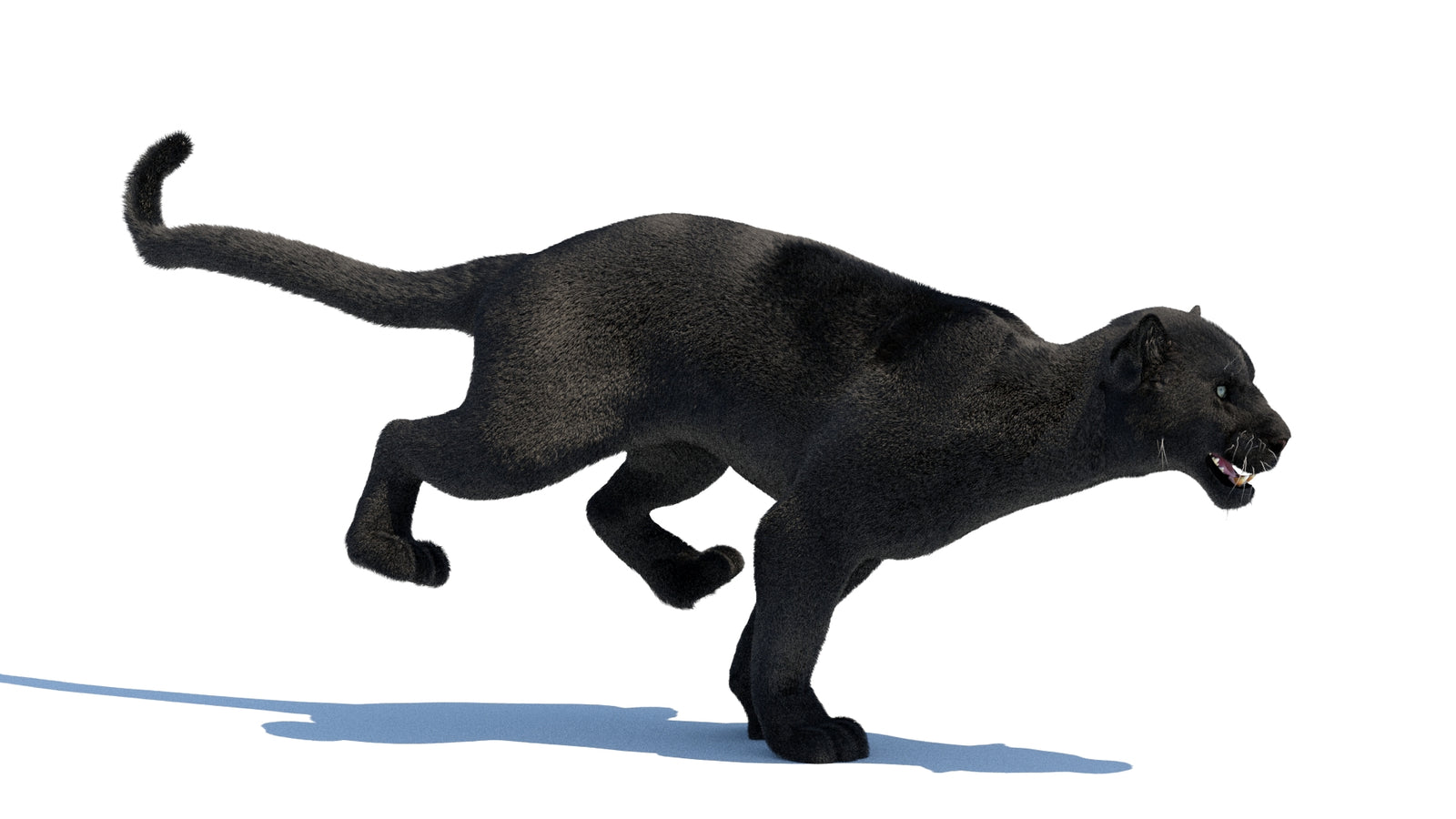 Animated Black Panther 3D Model Fur 360° view 3 frame 21