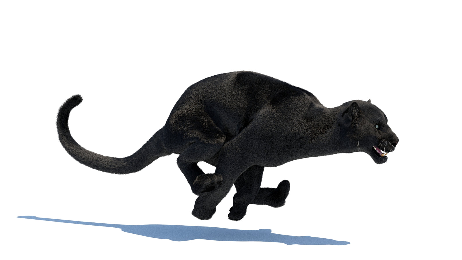 Animated Black Panther 3D Model Fur 360° view 3 frame 24
