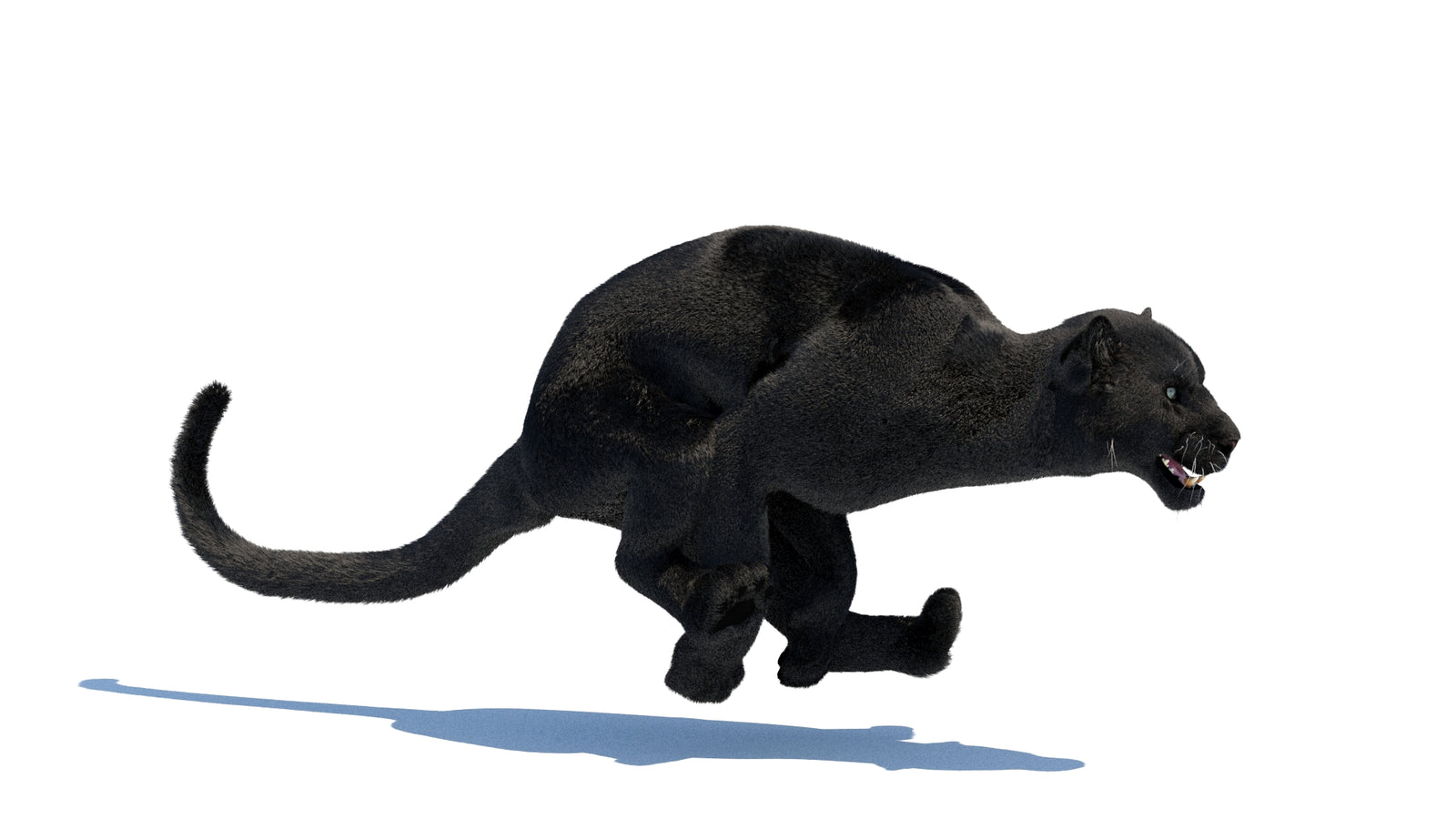 Animated Black Panther 3D Model Fur 360° view 3 frame 25