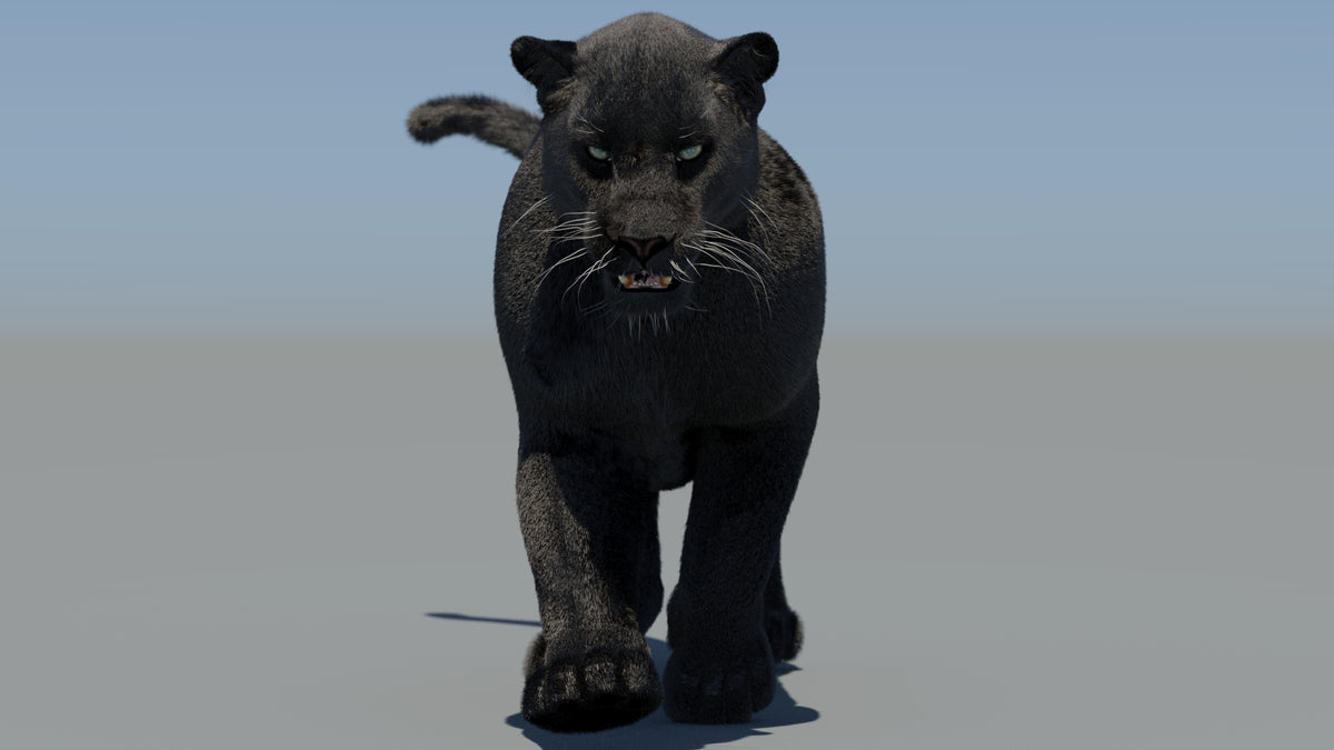 Animated Black Panther 3D Model Fur - 360 Degree View