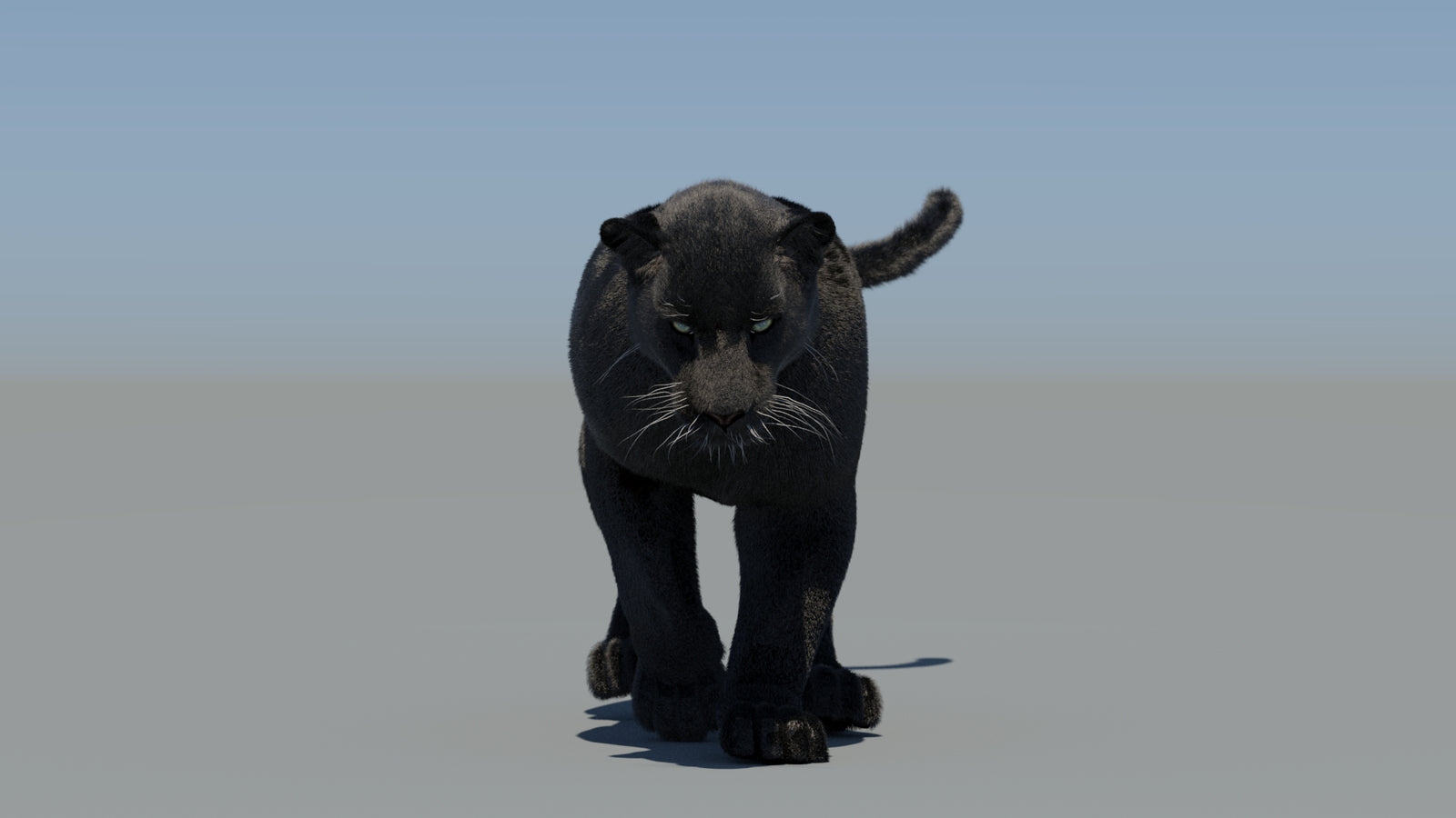 Animated Black Panther 3D Model Fur 360° view 5 frame 29