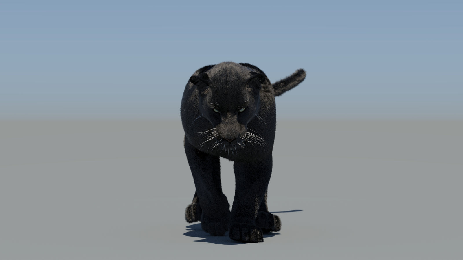 Animated Black Panther 3D Model Fur 360° view 5 frame 31