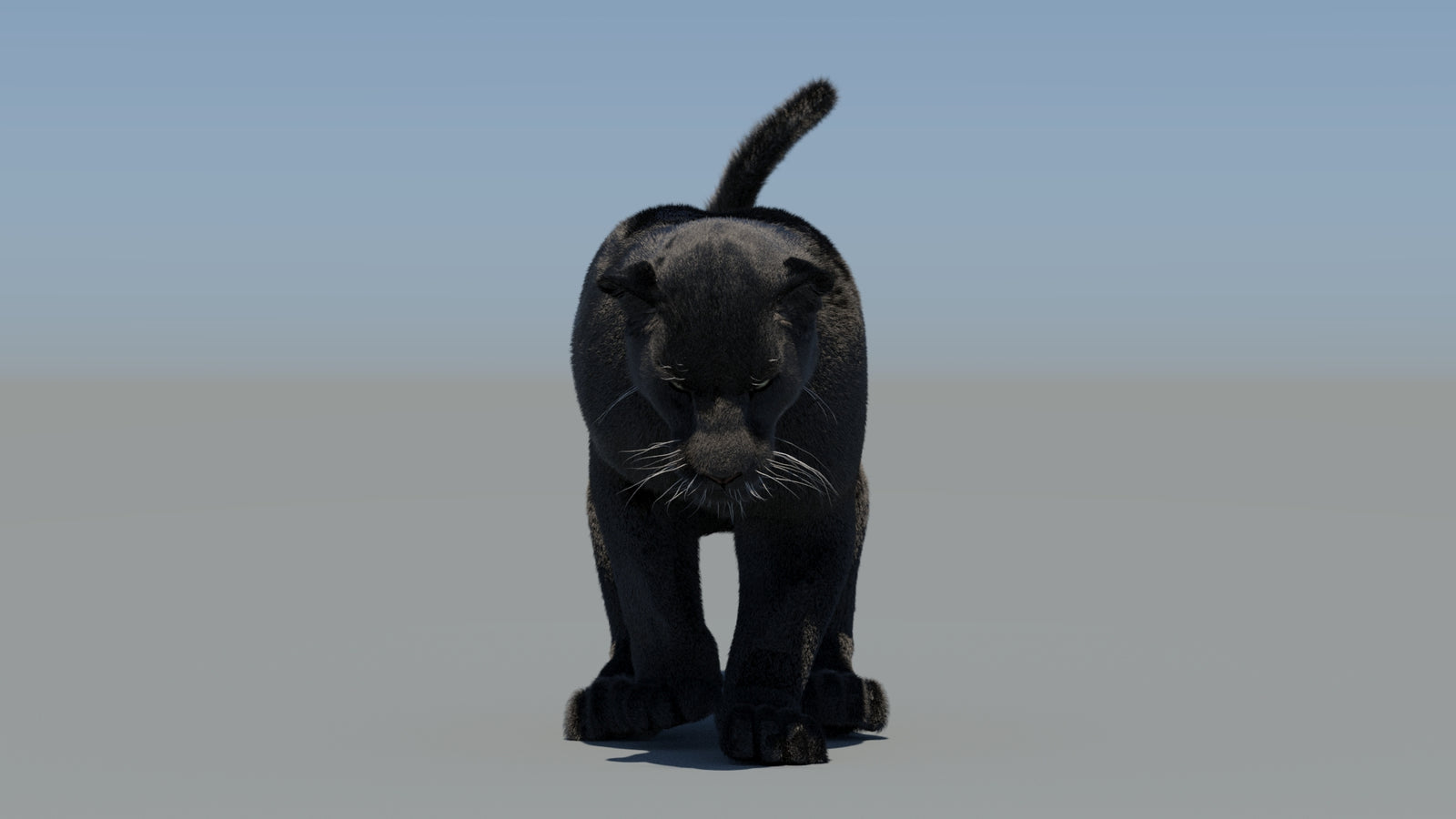 Animated Black Panther 3D Model Fur 360° view 5 frame 40