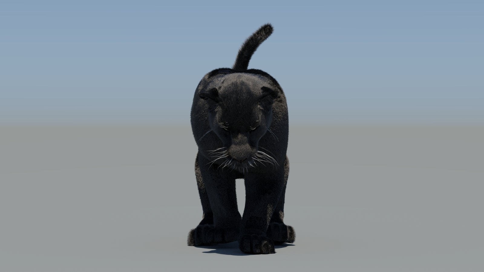 Animated Black Panther 3D Model Fur 360° view 5 frame 41