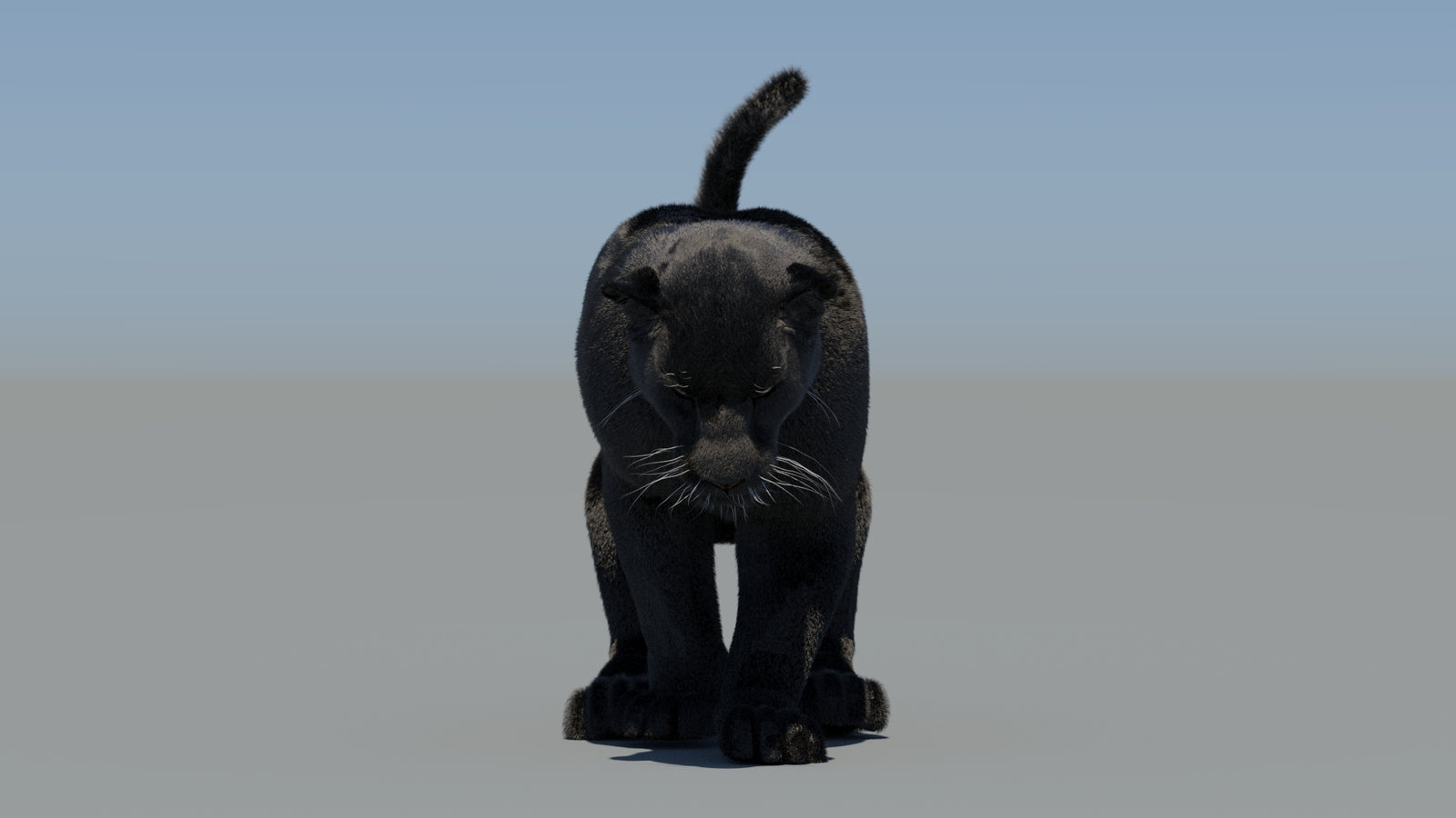 Animated Black Panther 3D Model Fur 360° view 5 frame 42