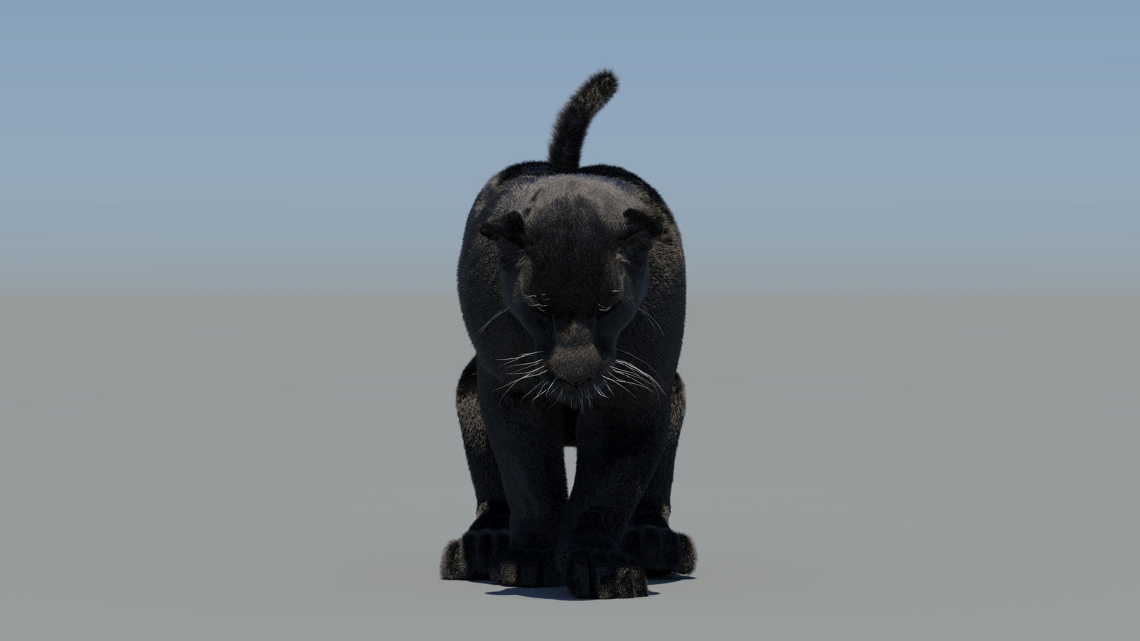 Animated Black Panther 3D Model Fur 360° view 5 frame 45