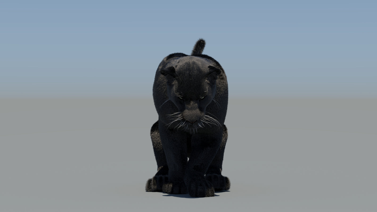 Animated Black Panther 3D Model Fur 360° view 5 frame 48