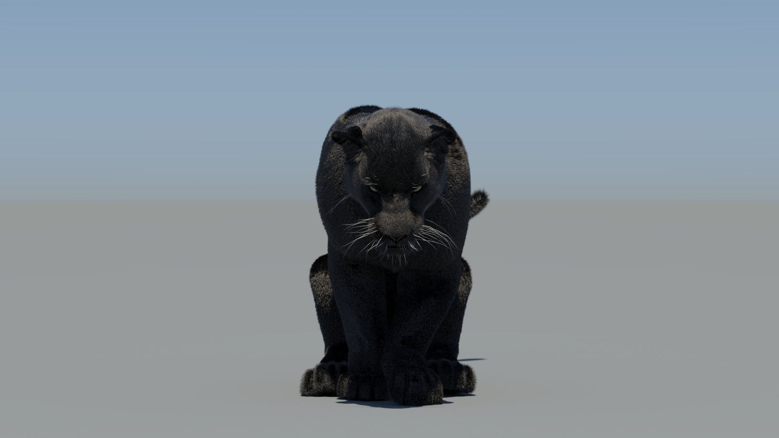 Animated Black Panther 3D Model Fur 360° view 5 frame 51