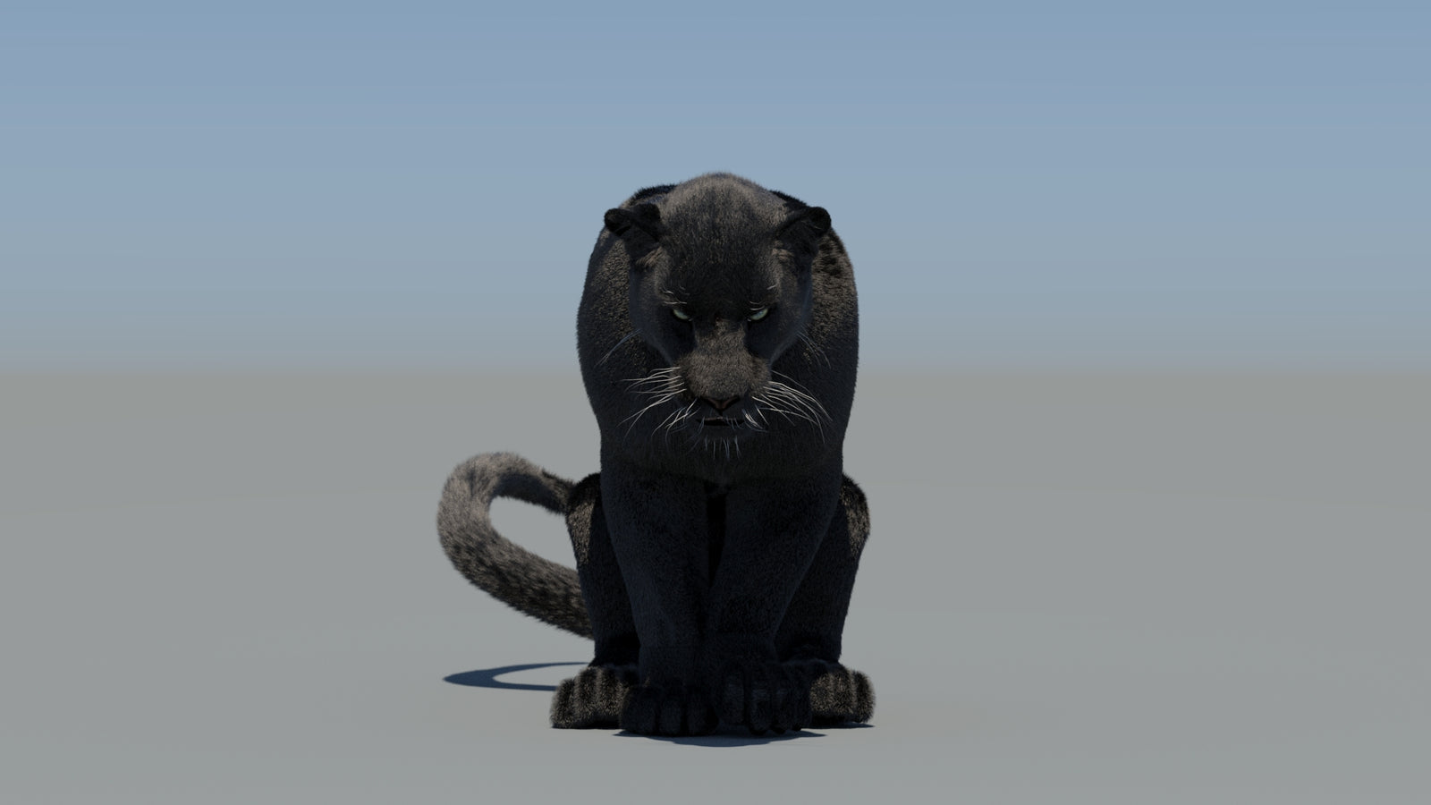 Animated Black Panther 3D Model Fur 360° view 5 frame 54