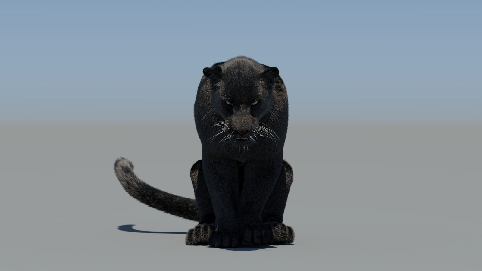 Animated Black Panther 3D Model Fur 360° view 5 frame 55
