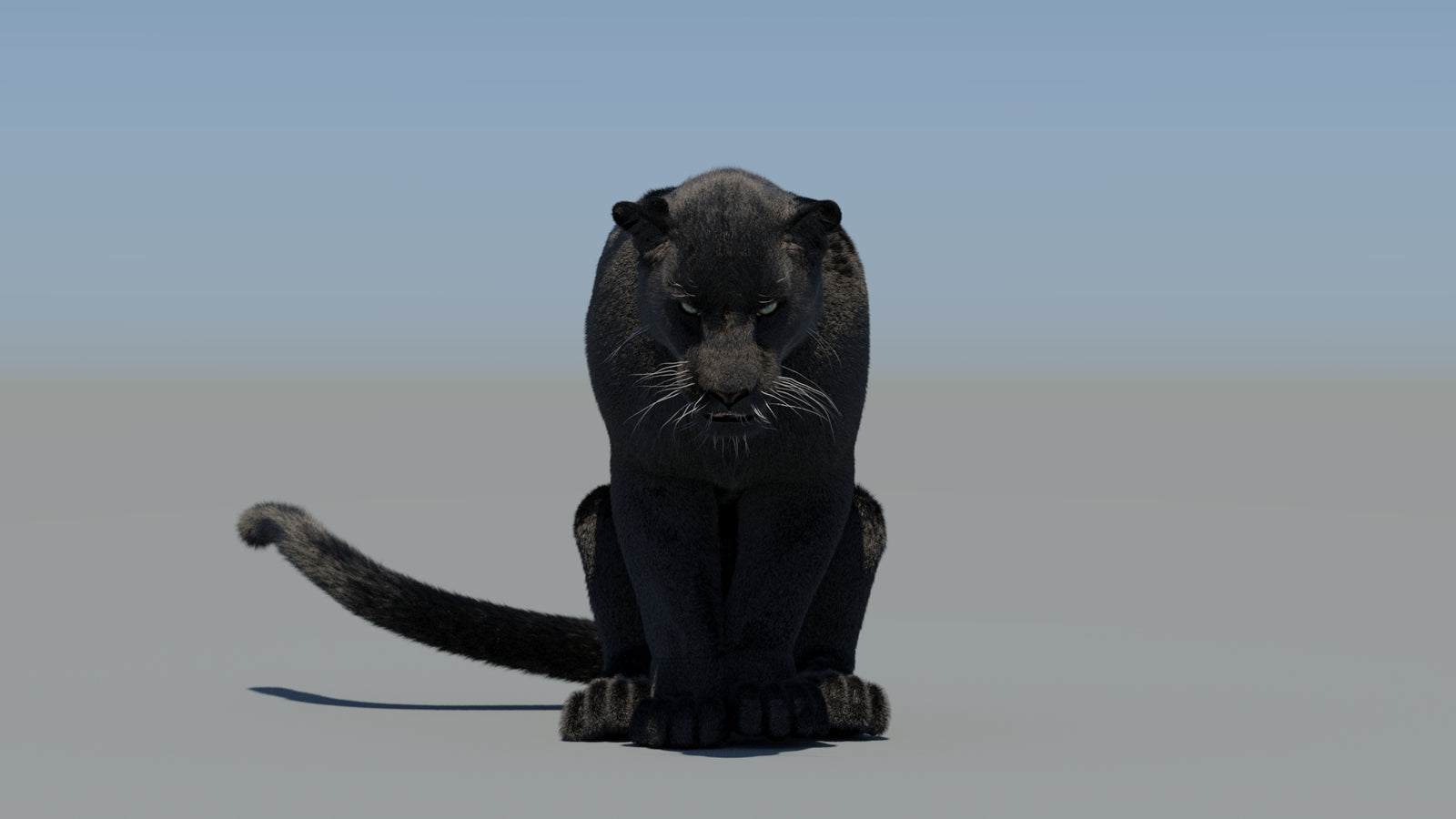 Animated Black Panther 3D Model Fur 360° view 5 frame 56