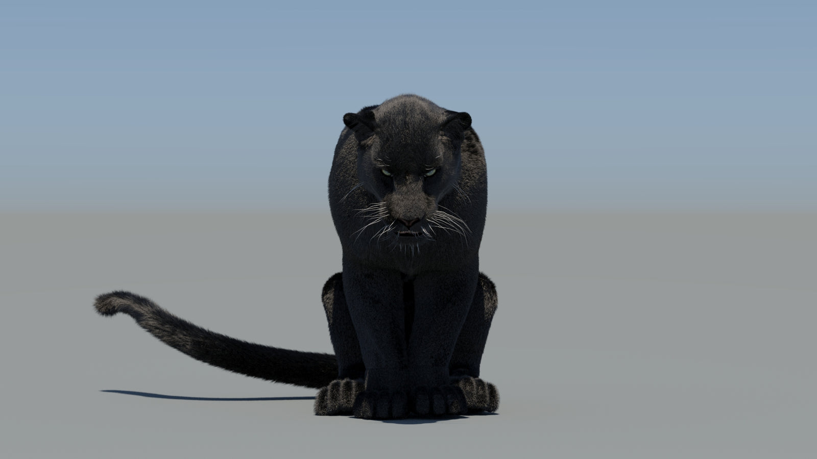 Animated Black Panther 3D Model Fur 360° view 5 frame 57
