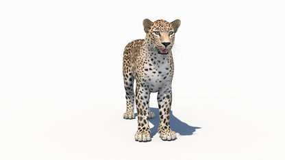 Realistic Persian Leopard 3D Model for Game