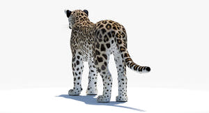 Realistic Persian Leopard 3D Model for Download Thumbnail