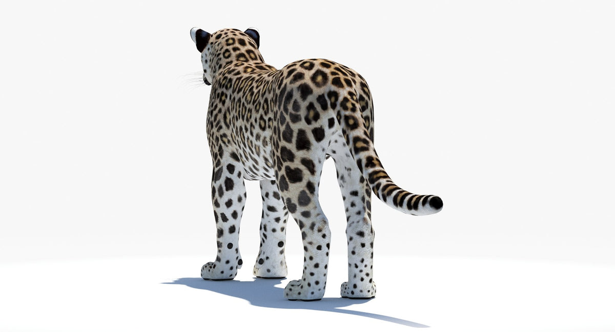 Realistic Persian Leopard 3D Model for Download