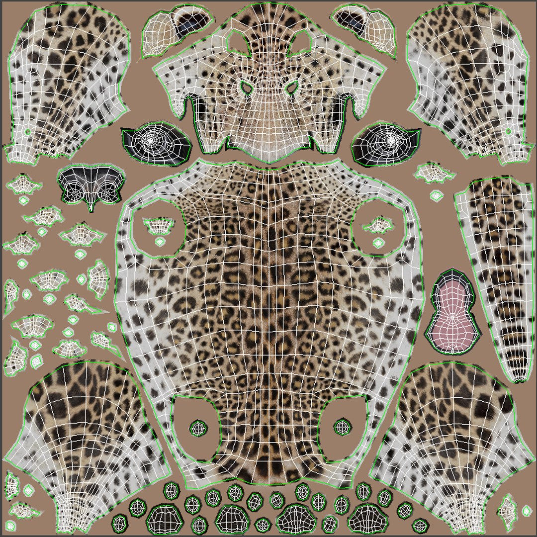 Animated Leopard 3D Model Body UVs