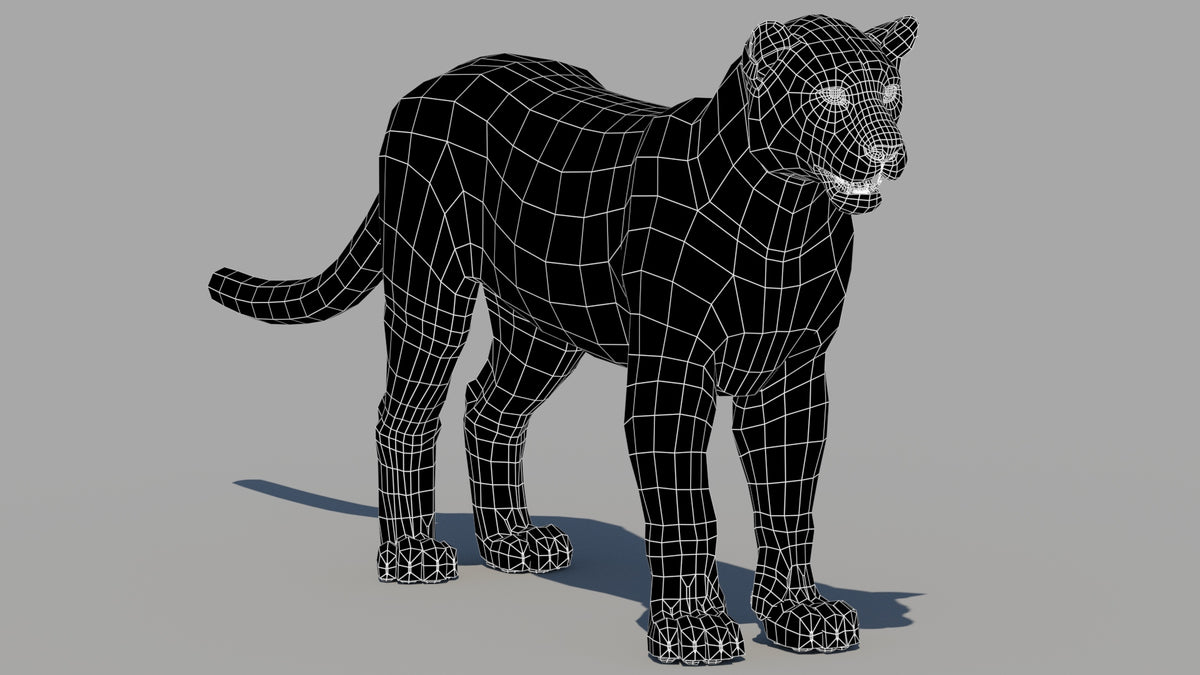 Persian Leopard 3D Model  Wireframe View 0