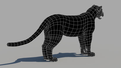 Amur Leopard 3D Model