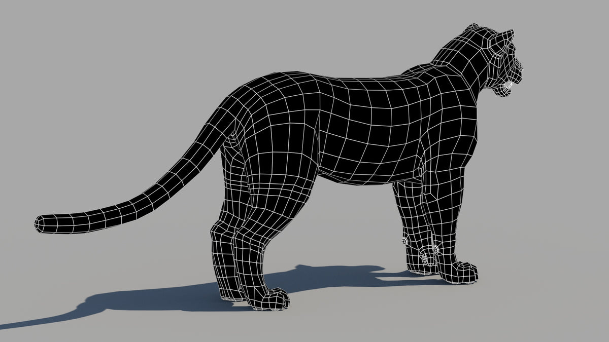 Persian Leopard 3D Model  Wireframe View 0