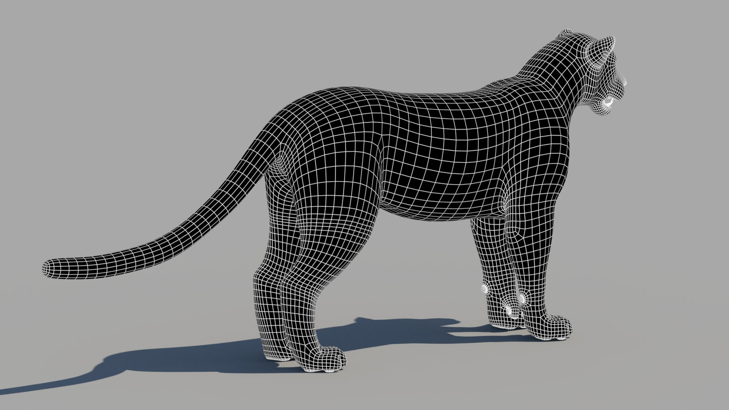 Amur Leopard 3D Model