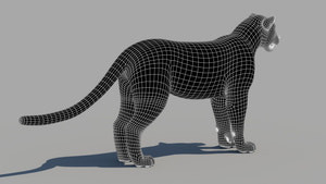 Persian Leopard 3D Model  Wireframe View 1 Thumbnail