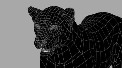Amur Leopard 3D Model