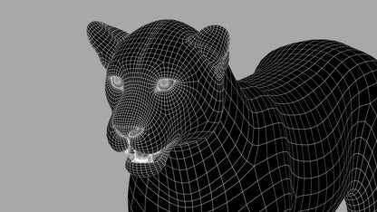 Amur Leopard 3D Model