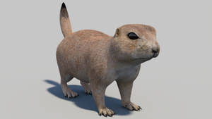 Prairie Dog 3D Model Thumbnail