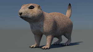 Prairie Dog 3D Model Thumbnail
