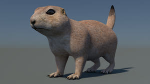 Game-Ready Prairie Dog 3D Model Thumbnail