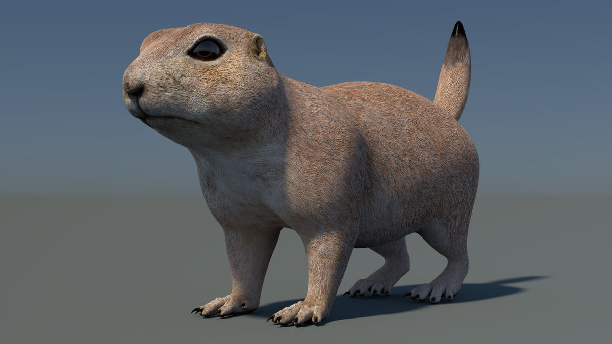 Game-Ready Prairie Dog 3D Model