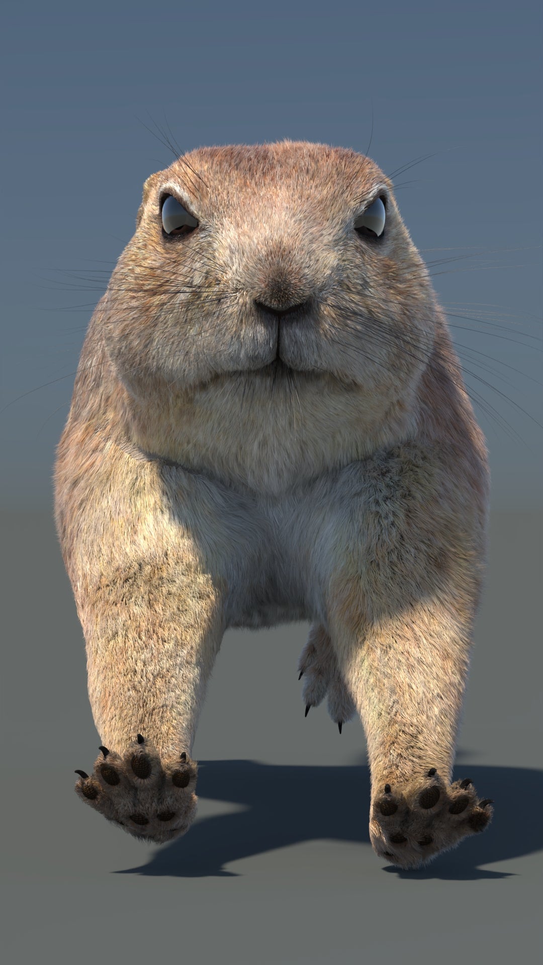 Animated Prairie Dog 3D Model Fur - 360 Degree View