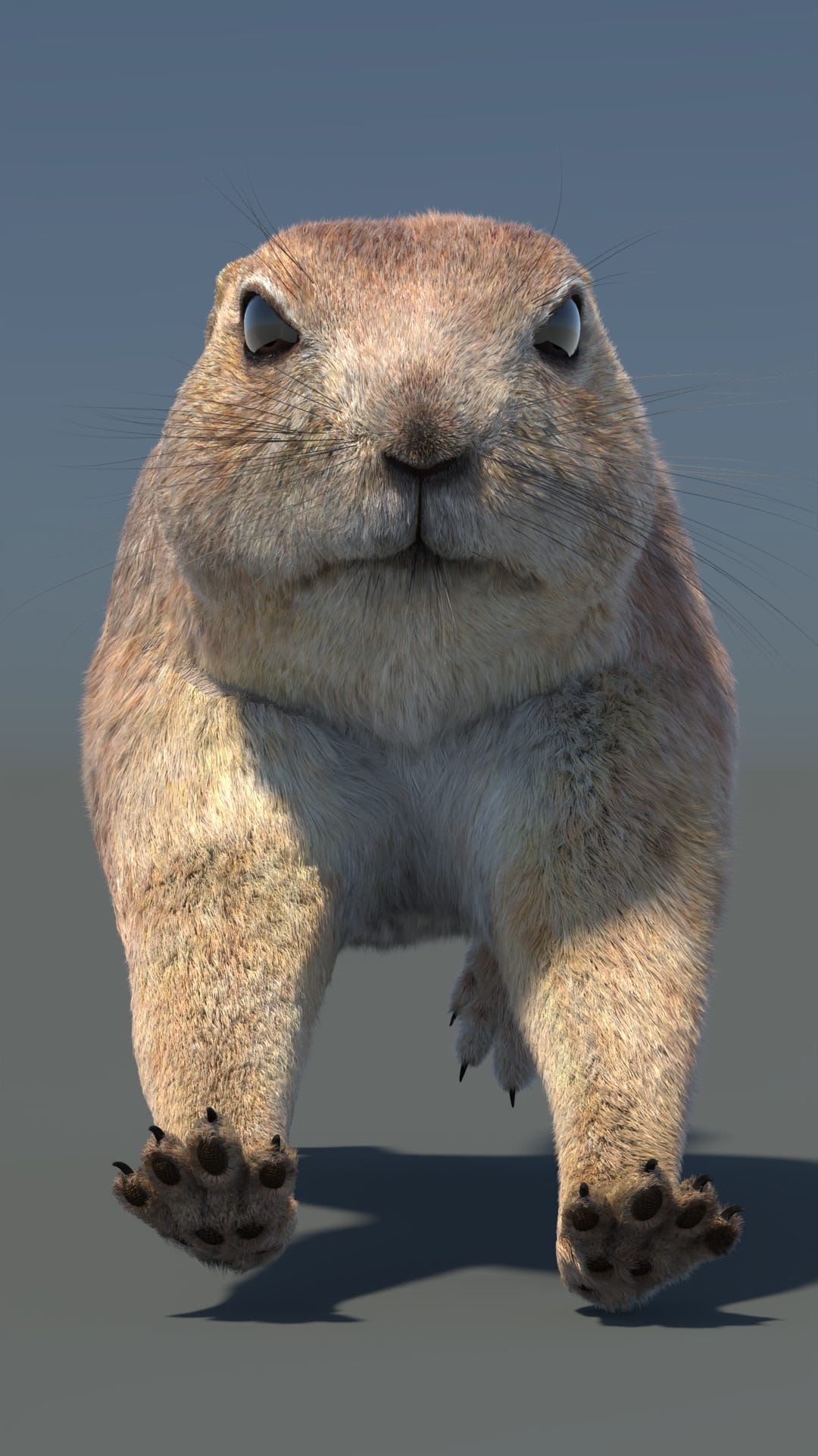 Animated Prairie Dog 3D Model Fur - 360 Degree View