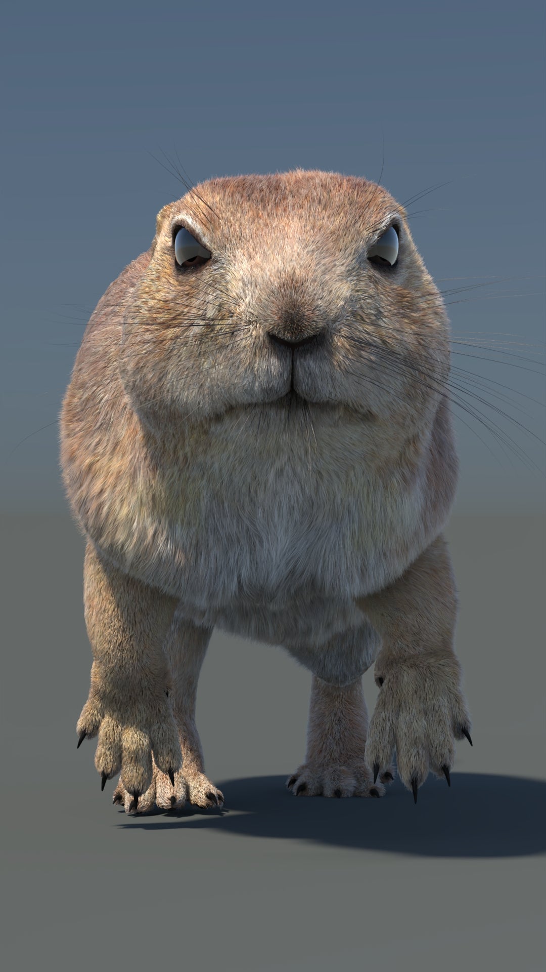 Animated Prairie Dog 3D Model Fur 360° view 6 frame 7