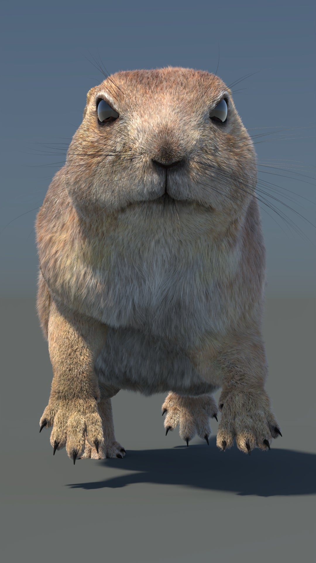 Animated Prairie Dog 3D Model Fur 360° view 6 frame 8