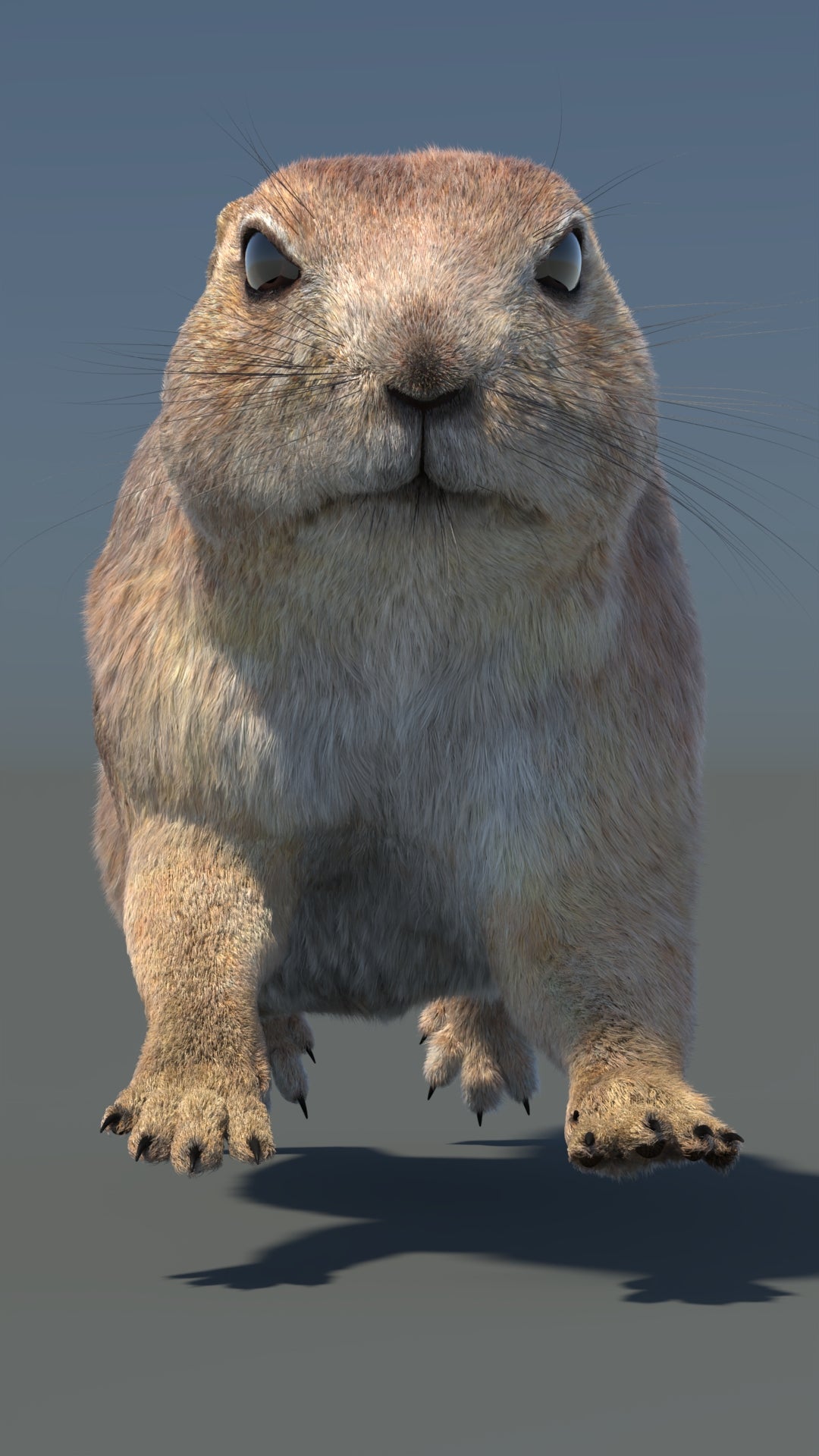 Animated Prairie Dog 3D Model Fur 360° view 6 frame 9