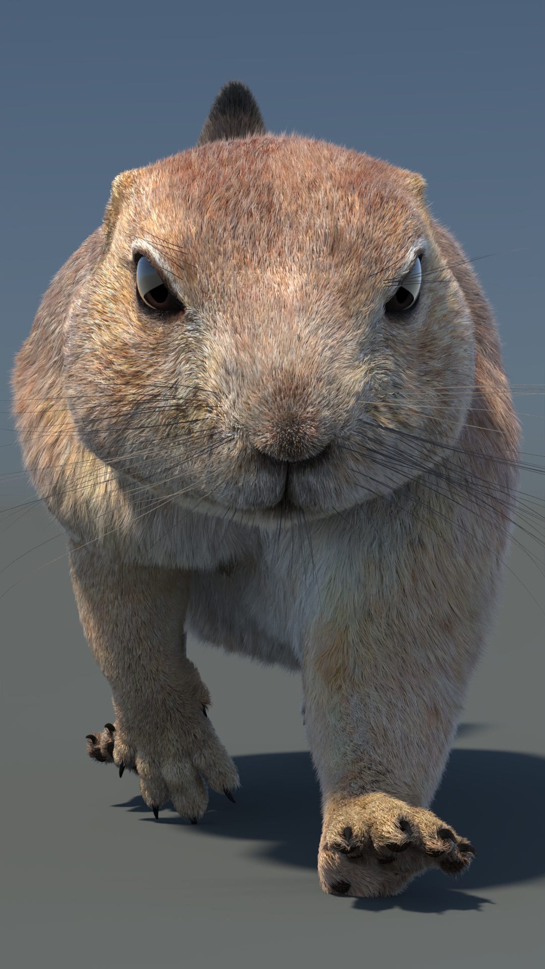 Animated Prairie Dog 3D Model Fur - 360 Degree View