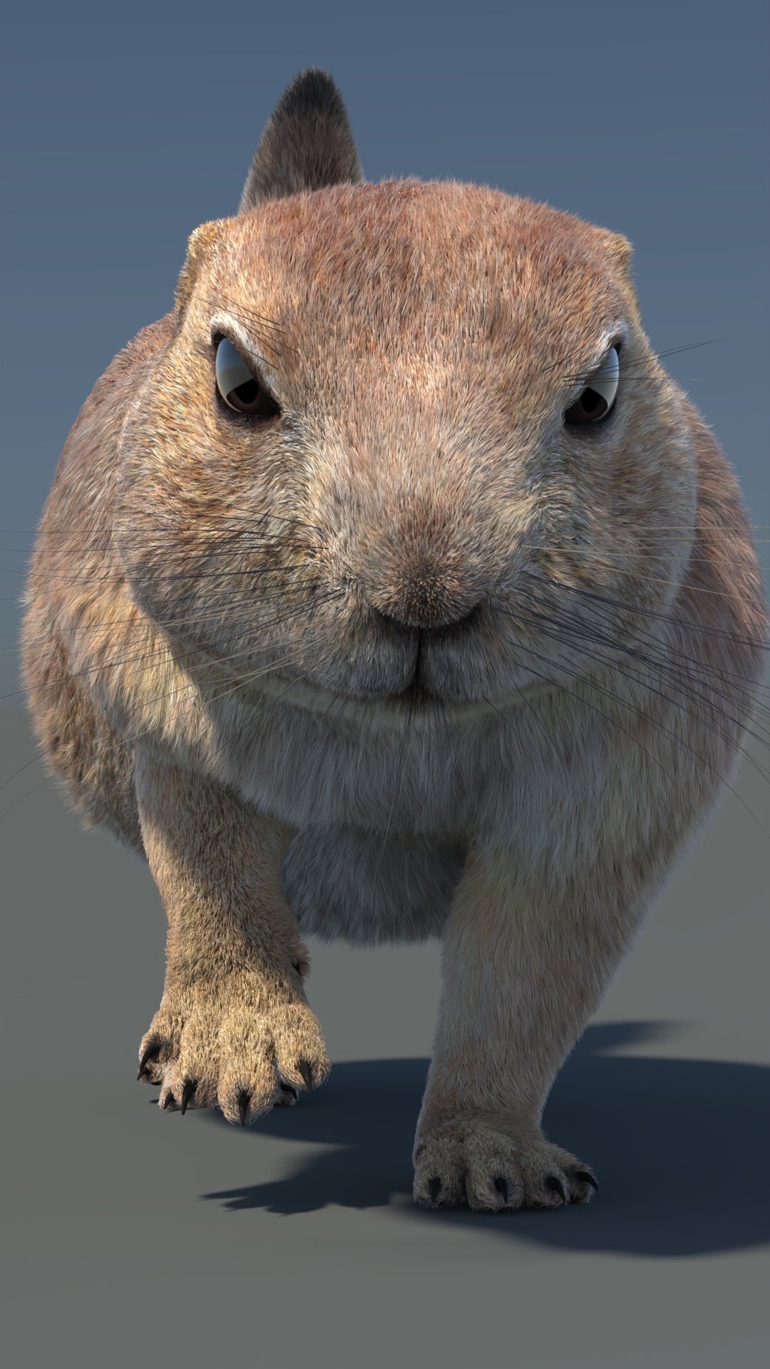 Animated Prairie Dog 3D Model Fur 360° view 5 frame 5